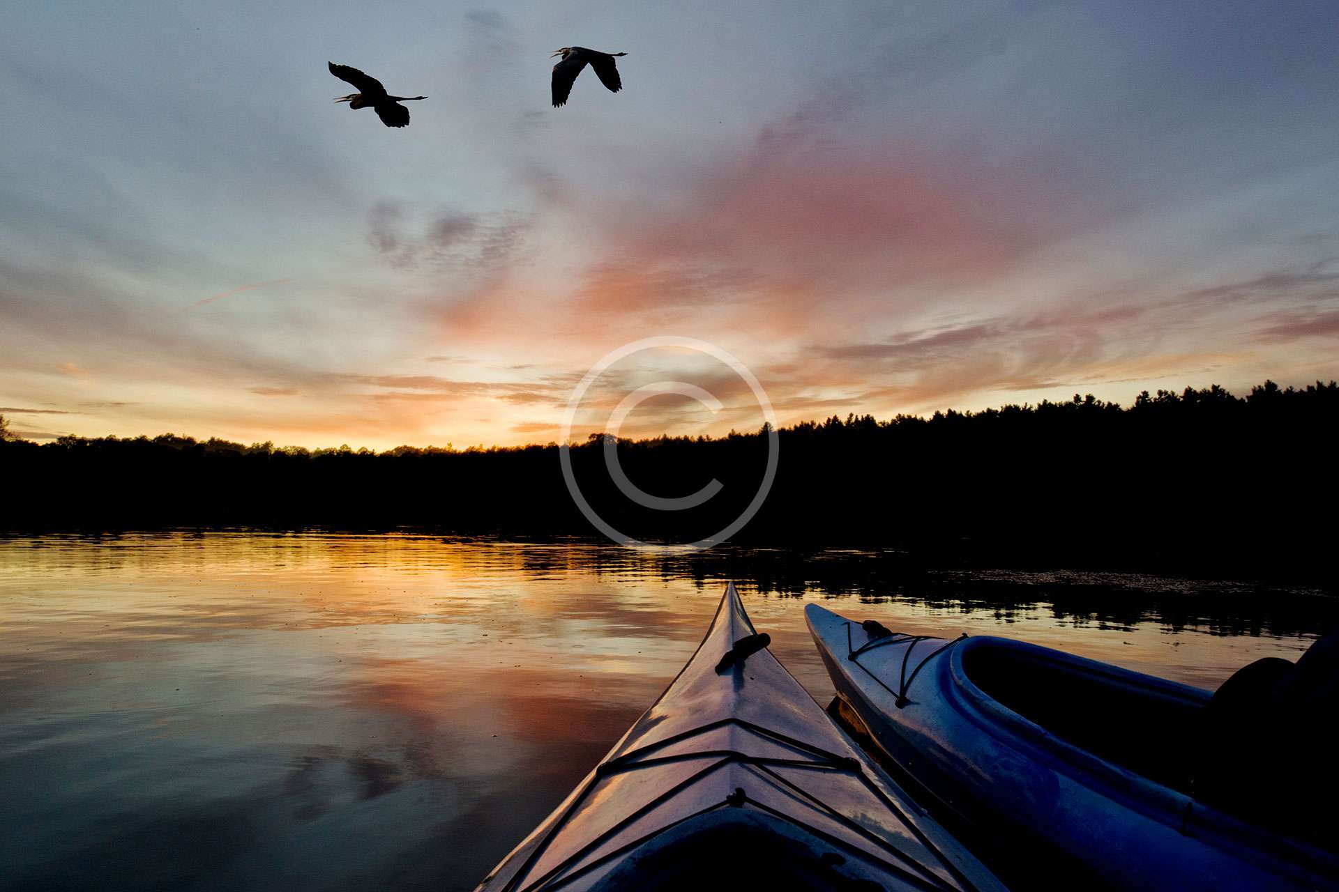 image-17-copyright